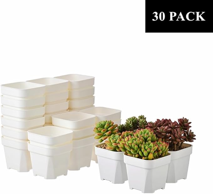BangQiao 30 Pack 4.15 Inch White Plastic Square Nursery Seedlings Pot for Succulent, Cutting, Transplanting