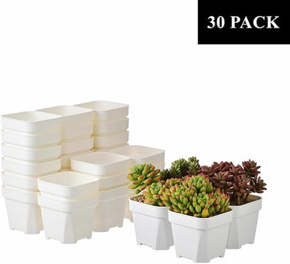 BangQiao 30 Pack 4.15 Inch White Plastic Square Nursery Seedlings Pot for Succulent, Cutting, Transplanting