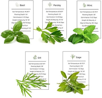 Herb Garden Seeds Collection - 5 Culinary Herb Seeds Pack - Organic Basil, Parsley, Mint, Sage and Dill Seeds, Heirloom Non-GMO Seeds for Planting