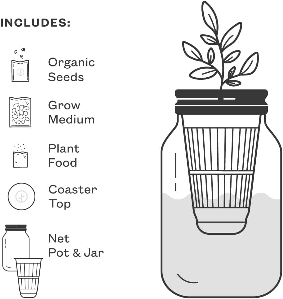 Modern Sprout Mason Garden Jar + Replant Kit - Self-Watering Hydroponics Growing System Kit w/Organic Herb Seeds - Jar Planter for Indoor Herb Garden - Seed Starter - Home Decor Gifting - Lavender