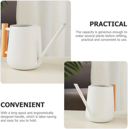 Watering Can Indoor Plants, 30oz/900ml Small Plant Watering Can with Long Spout, Stainless Steel Garden Watering Cans Outdoor Watering Pot for Indoor House Plants Bonsai Flower Decorative