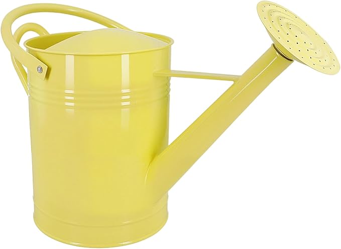 Galvanized Iron Watering Can for Indoor Plants, DIY Watering Cans for House Plant Garden Flower, Long Spout Water Can for Outdoor Watering Plants 7.57L 2 Gallon (Beige)