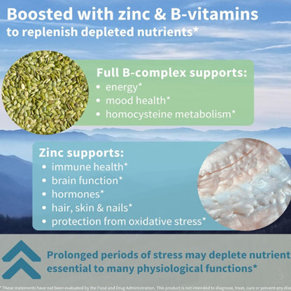 Igennus High Strength Ashwagandha Stress Relief Complex-60 Vegan Capsules