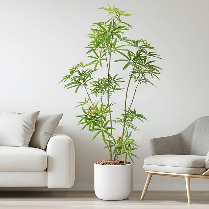 Aalonfale 6ft Artificial Umbrella Tree - Realistic Faux Umbrella Tree Indoor/Outdoor, UV Resistant Fake Plant for Home, Office, Patio Decor