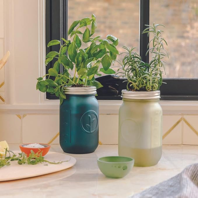 Modern Sprout Glass Jar Grow Set, Indoor Herb Garden, Seed Starter Set, Organic, Non-GMO, Rosemary