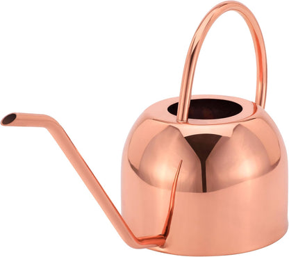 Glytterati- Indoor Watering Can and Planter with Plate.