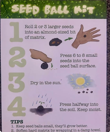 DIY Seedball Making Kit - Eastern Wildflower Edition