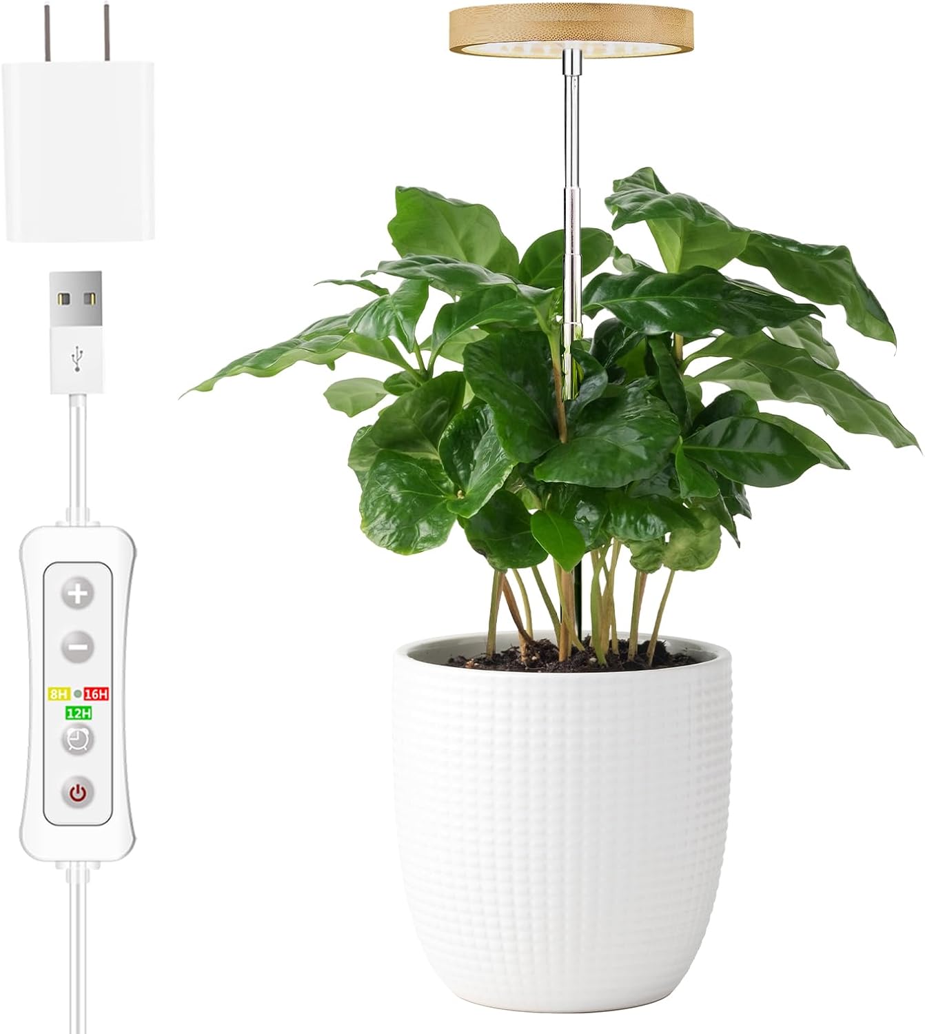 Plant Grow Light for Indoor Plant,Bamboo Mini LED Grow Light Garden,Height Adjustable,Automatic Timer with 8/12/16 Hours