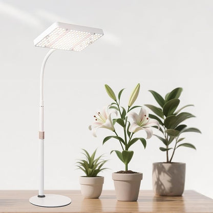 Tabletop Grow Light with Timer, Bright Desk Grow Lights for Indoor Plants, Seed Starting, Seedlings, Bonsai, Succulent, Cactus, Vegetables, 16"-24" Height Adjustable, Daisy Chain Function