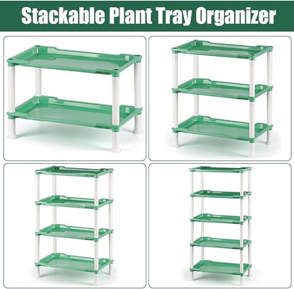 Tabletop 5-Tier Seed Starting Kit Germination Tray - Plant Stand with Grow Lights Full Spectrum Sunlike Plant Light for Indoor Plants, Greenhouse, Succulents, Seedlings Gardening