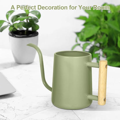 Watering Can Indoor Plants, 35 oz/1000 ml Metal Stainless Steel Watering Can Pot with Long Spout for Indoor House Plants Bonsai Outdoor Garden Flower Decorative (Sage Green)