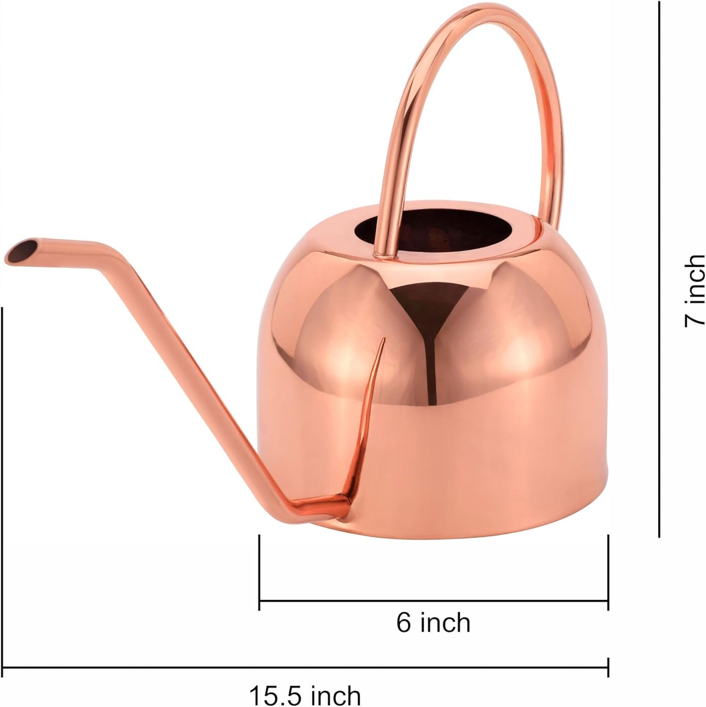 Glytterati- Indoor Watering Can and Planter with Plate.