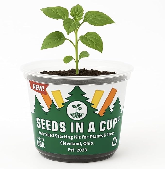 Date Palm | Seeds In A Cup: Date Palm Tree Starter Kit | Easy to use | Educational | Thoughtful Gift | Great Gift Idea | Plant It for The Planet | Grow Your Own Tree |