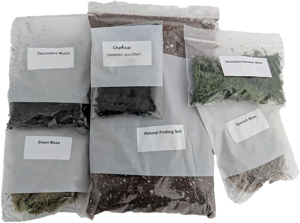 Hirt's Gardens Terrarium Kit - Create Your Own Living Terrarium