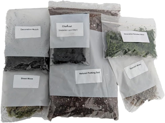 Hirt's Gardens Terrarium Kit - Create Your Own Living Terrarium