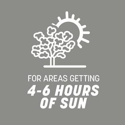 Pennington Contractors Grass Seed Mix Central 7 lb