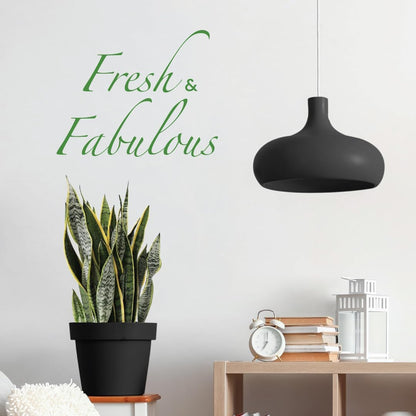 American Plant Exchange Snake Plant Bundle – Large 10-Inch Pots Sansevieria Laurentii & Zeylanica, 2-3ft Tall, Low-Maintenance, Air-Purifying Live Houseplants for Home, Office, or Outdoor Patio Décor