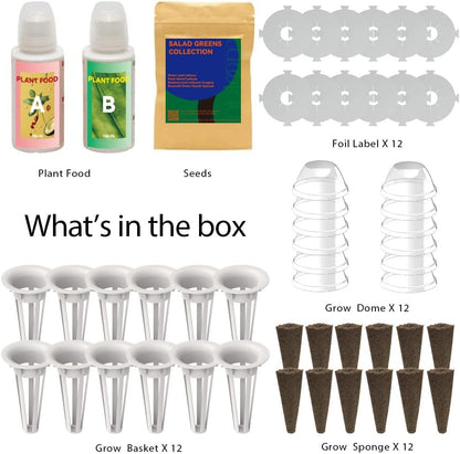 inbloom Salad Green Seed Pod Kit for Hydroponics Growing System, 12 Pods (350+ Seeds with American Fast/Paris Island/Buttercrunch Lettuce, Swiss Chard, Spinach, Cauliflower, and Wild Cabbage)