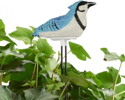 HEEPDD Soil Moisture Sensor Meter with Bird Design, Plant Watering Alarm Device for Indoor Outdoor Potted Plants