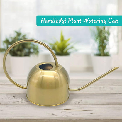 Hamiledyi 50 oz/1500 ml Stainless Steel Watering Can with Long Spout Metal Watering Can Indoor Outdoor Flower Watering Pot for Garden Orchid Bonsai Office Desk Plants (Golden)