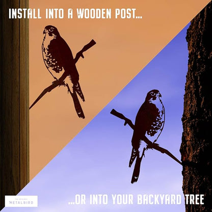 METALBIRD - Peregrine Falcon - Outdoor Tree Ornaments in Corten Steel - Metal Art Proudly Made in The USA