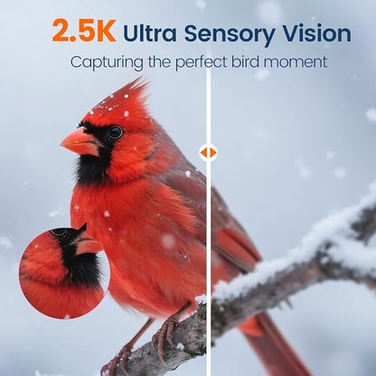 Bird Feeder with Camera 2.5K HD Live Video, AI Bird Identifier, 5MP Photos, 7W Solar Powered & 4000mAh Battery for Wall/Mount/Hang (Blue)