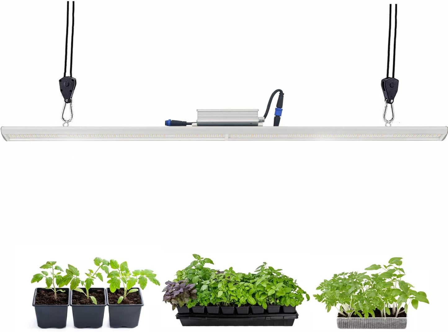 LED Grow Light Lamp for Indoor Plant Seedling Germination Vege Flower Growth,Full Spectrum CRI 90+ High Output White Light CCT 6500K,Isolated Dimming Driver with On/Off Switch,100 Watt,4Feet