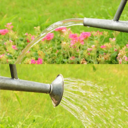 Metal Watering Can, One Gallon Watering Cans Stainless Steel for Outdoor Indoor Garden Plants Watering (Zinc 1 Gallon)