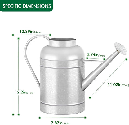 2.3 Gallon Metal Watering Can, Galvanized Watering Can for Outdoor Indoor Plants, Large Water Can for Plants and Garden Flower