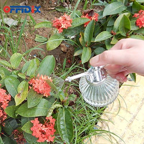 OFFIDIX Glass Spray Bottle for Plants, 6.3" Tall Vintage Style Spritzer with Bronze Plastic Silver Color Top Pump Glass Watering Can for Pet Clearing (Transparent)