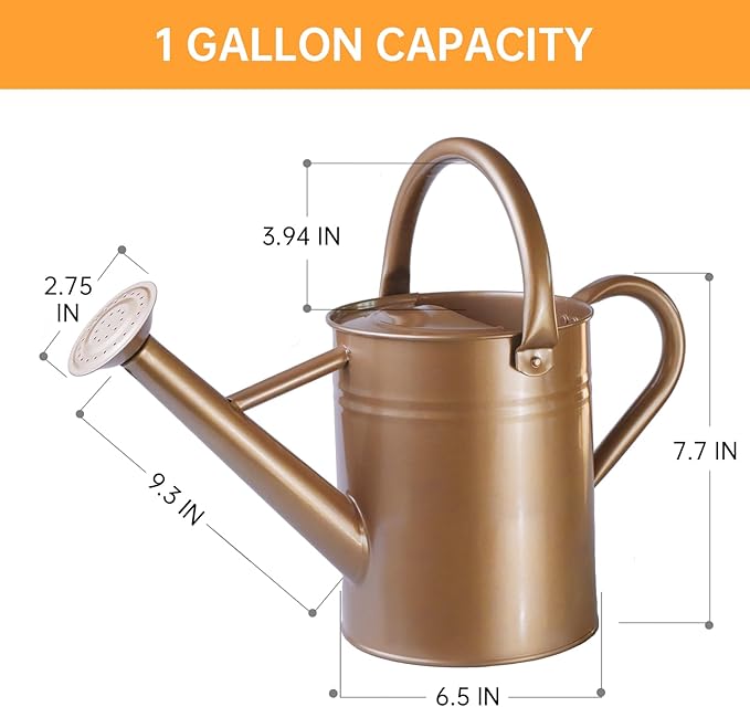 Metal Watering Can for Outdoor Plants, Galvanized Steel Watering Can with Removable spout, 1 Gallon,Perfect Home & Garden Decor Gold