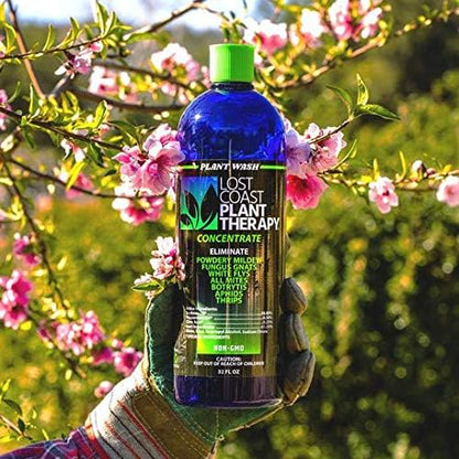 Plant Wash Lost Coast Plant Theraphy Concentrate 32 floz (Packaging May Vary)