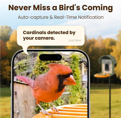Smart Bird Feeder with Camera, 2.5K UHD Bird Feeder Camera Solar Powerd, Sensitive AI Identification, Instant Alerts Capture Video, IP66 Waterproof for Outdoor, Ideal Gift, Green