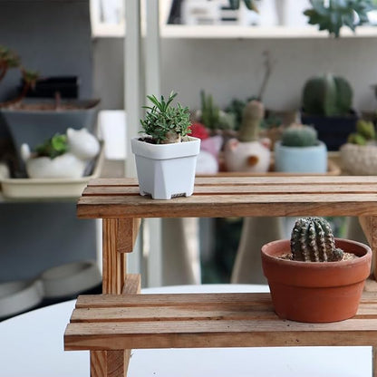 BangQiao 200 Pack 1.95 Inch Tiny White Plastic Square Nursery and Seedling Pot, Mini Transplant Seed Starter Planter with Drain Hole for Germination, Herb, Succulent