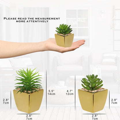 Hollyone Small Succulents Artificial 3 Pcs Faux Succulents with Gold Pots Mini Fake Succulent Plants Indoor Plant Ceramic Pots for Modern Office Desk Bathroom Shelf Living Room Home Decor