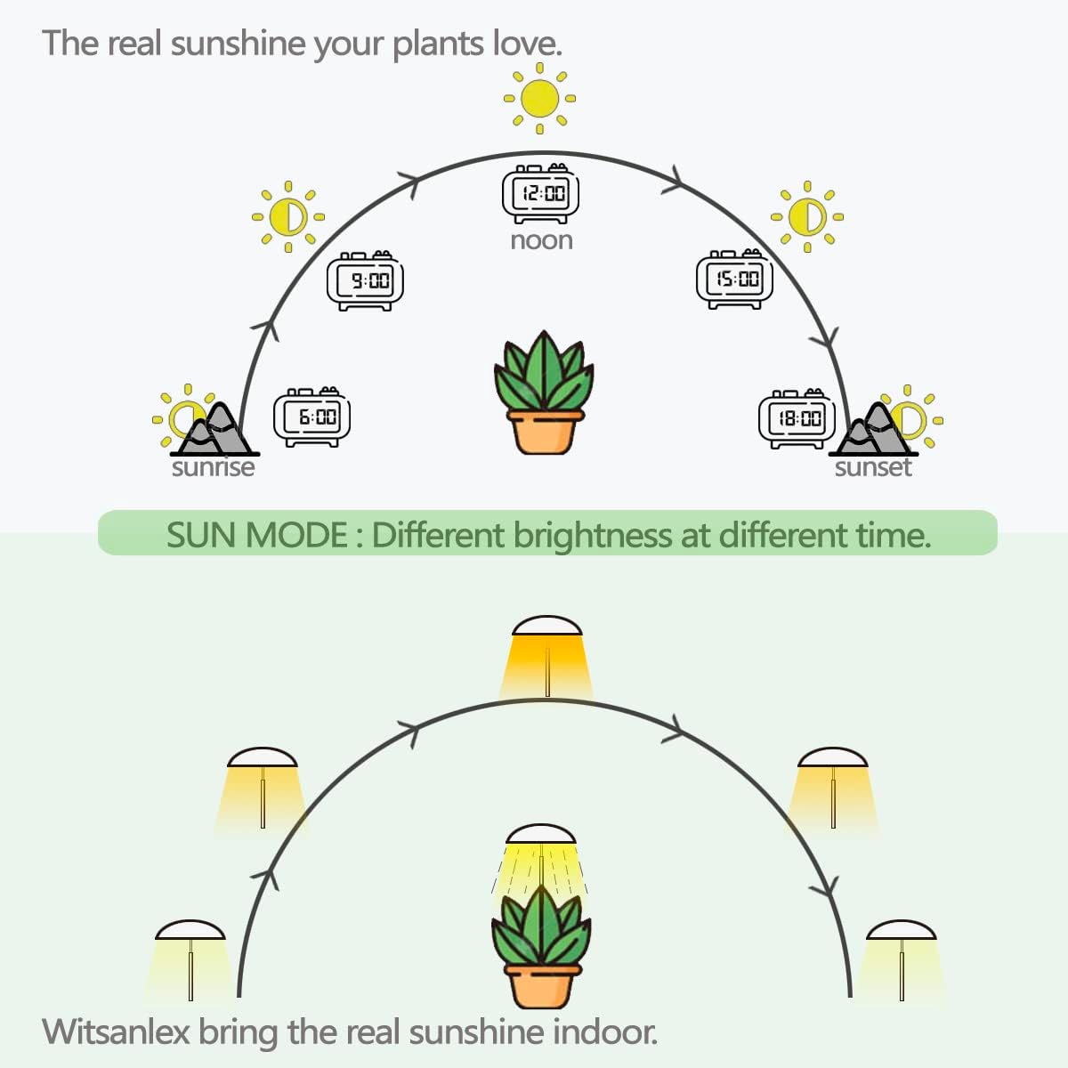 LED Grow Lights for Indoor Plants, Smart USB Small Full Spectrum Plant Lights with Remote, Height Adjustable, Auto On/Off Timer, Ideal for Home Decoration