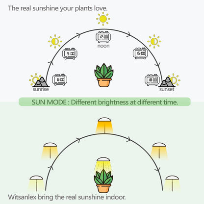 LED Grow Lights for Indoor Plants, Smart USB Small Full Spectrum Plant Lights with Remote, Height Adjustable, Auto On/Off Timer, Ideal for Home Decoration