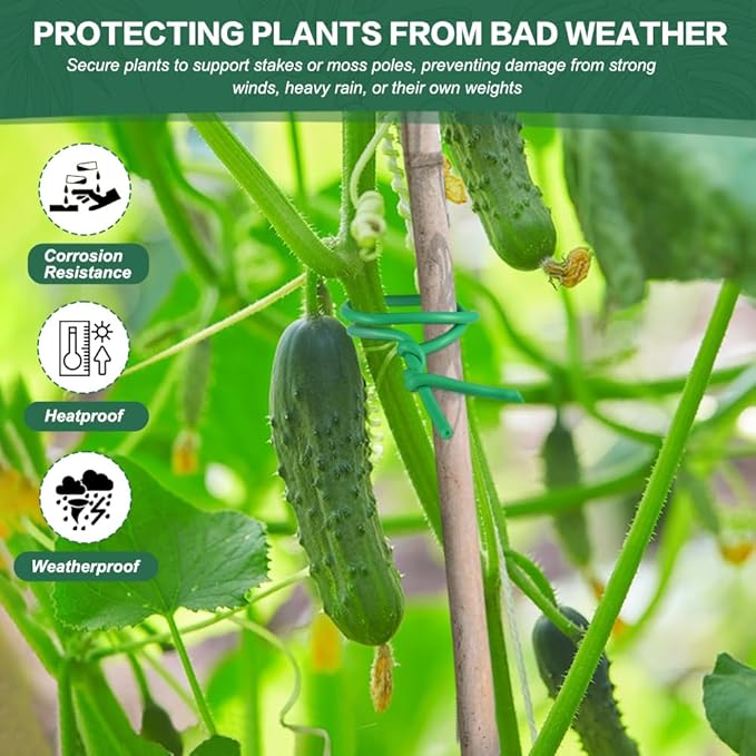 Tenn Well Garden Wire, 164 Feet 3.5mm Soft Plant Ties, Gardening Twist Ties for Climbing Plants, Tomatoes, Climbing Roses, Indoor & Outdoor Plants