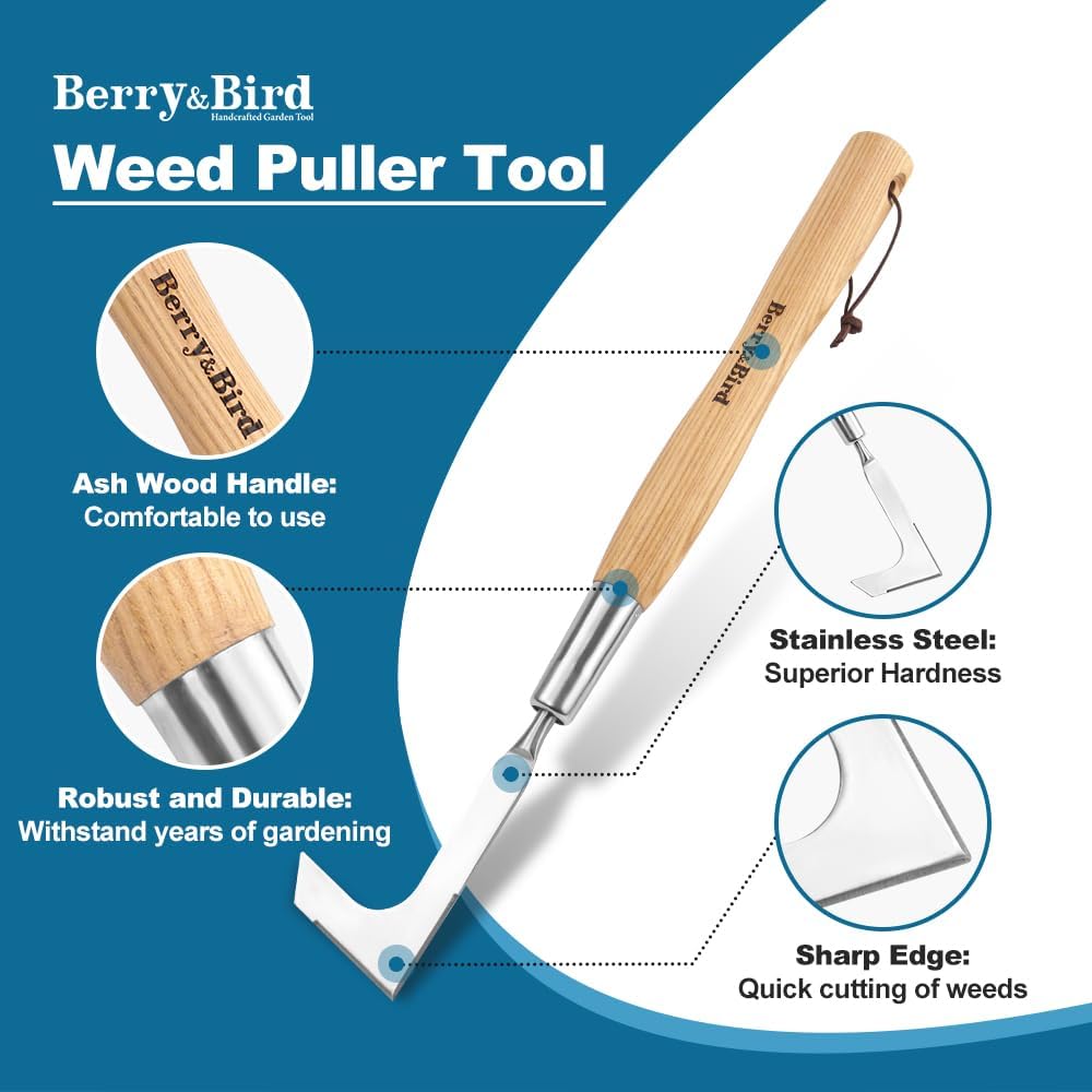 Berry&Bird 15.2'' Crack Weeder Crevice Weeding Tool with Ashwood Handle, Manual Weed Puller for Sidewalk, Driveway Cracks & Garden Edging, Weeding Sickle for Garden Patio Lawn Yard Terrace Paving Moss