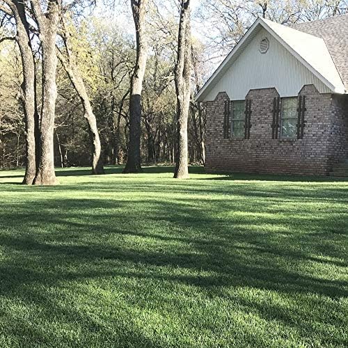 Outsidepride Combat Extreme Southern Zone Grass Seeds for Lawn - 10 lbs. SPF 30 Heat & Drought Tolerant Mix of Turf Type Fescue & Hybrid Bluegrass Seed with OptiGrowth Coating Enhanced Germination