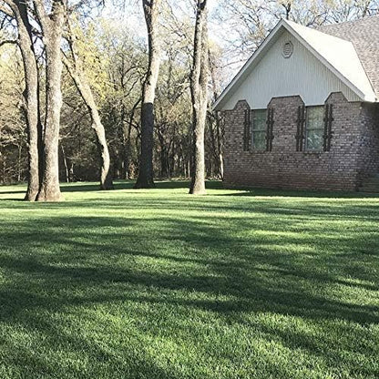 Outsidepride Combat Extreme Southern Zone Grass Seeds for Lawn - 10 lbs. SPF 30 Heat & Drought Tolerant Mix of Turf Type Fescue & Hybrid Bluegrass Seed with OptiGrowth Coating Enhanced Germination