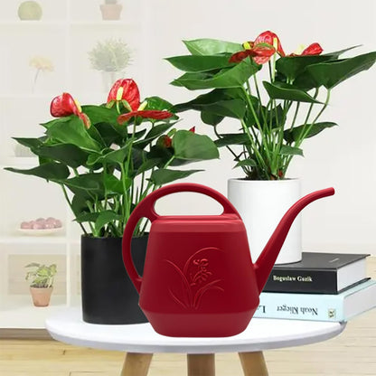 Watering Can for Indoor and Outdoor Plant - 1/2 Gallon - Wine Red