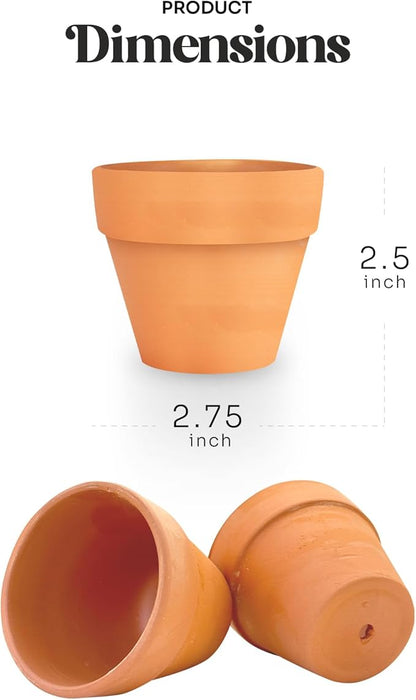 Set of 6 Seed Paper – 6 Green Onesie & 6 Orange Pots with Stickers for Baby Shower, Gender Reveal, Birthday, Mother's Day & Other Milestone Celebrations