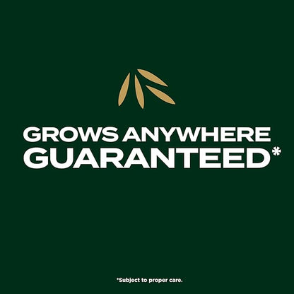 Scotts EZ Seed Patch & Repair Southern Gold Blend for Tall Fescue Lawns, Mulch, Grass Seed and Fertilizer for Bare Spots and Repair, Bred for The South, 10 lbs.