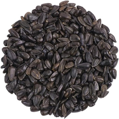 CountryMax Backyard Seeds Black Oil Sunflower (25 Pounds)