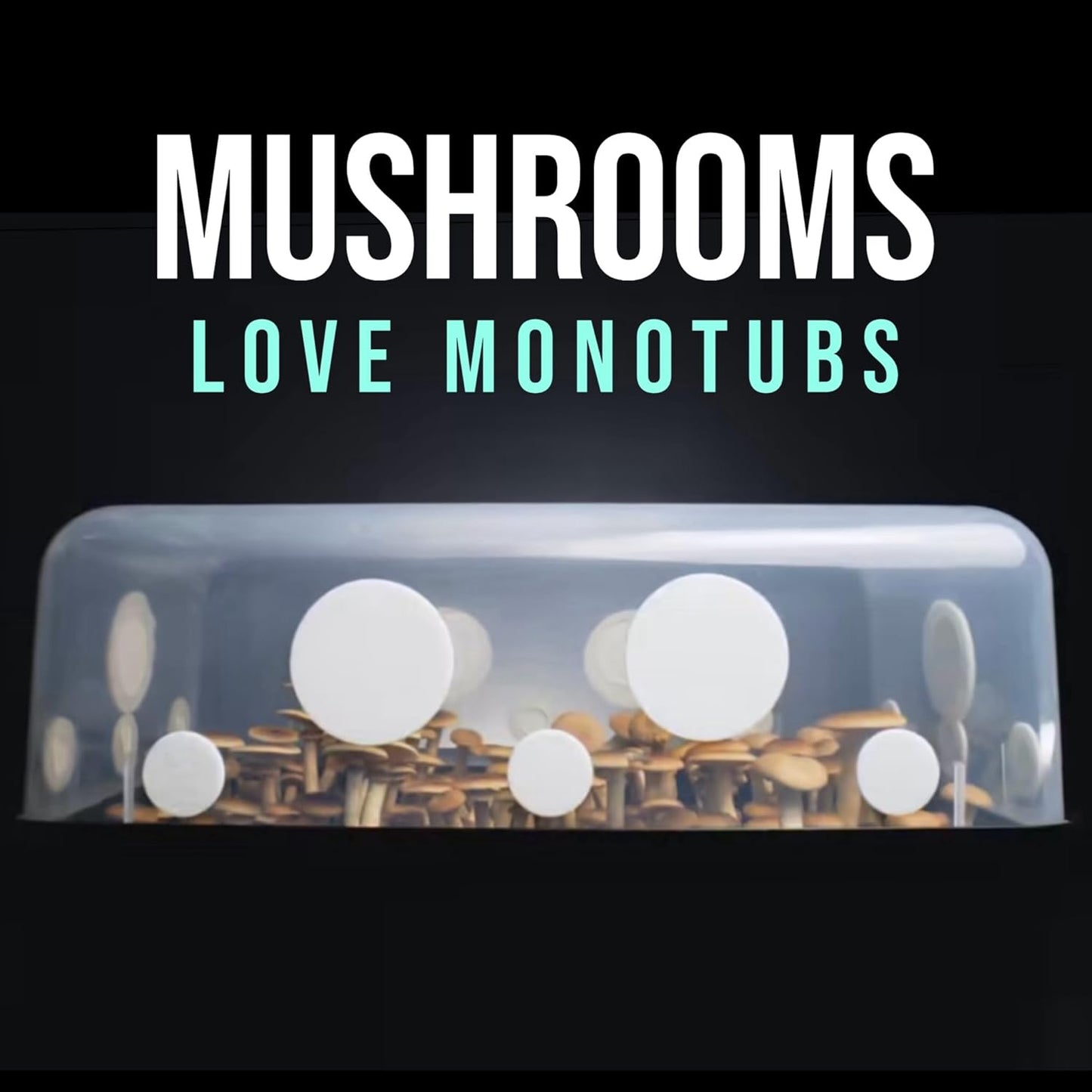North Spore 'Boomr Bin' Monotub Mushroom Grow Kit | Complete Dung-Loving Mushroom Grow Kit - Just Add Spores | Featuring Boomr Bin Monotub | Includes Monotub, Sterile Substrates, Coco Coir & Filters