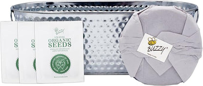 BUZZY Seeds Rosemary, Dill, and Thyme Grow & Grill Herb Kit, Indoor Seed Starter with Decorative Hammered Metal Windowsill Planter and Growing Medium - Easy Gardening Gift for Cooks & Beginners