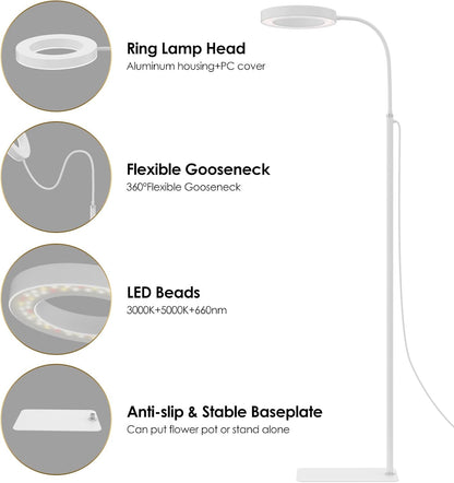 GLOWRIUM Grow Lights for Indoor Plants, 20W Full Spectrum LED Grow Light Floor Lamp with Stand Adjustable Height and Angle, Black Plant Light with 3/9/12H Timer White