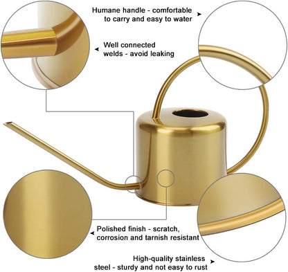 Remiawy Watering Can Indoor Outdoor Stainless Steel Watering Cans for House Plants Long Spout Water Can for Succulent Bonsai Garden Flower(40oz/1300ml)