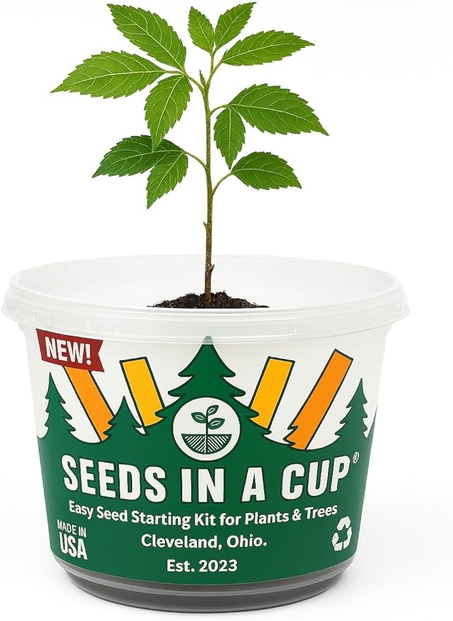 Seeds In A Cup® Plant Grow Kit – 60+ Varieties of Vegetables, Herbs & Flowers | Indoor & Outdoor Seed Starter for Kids & Adults | Grow Your Own Garden | Gardening Gift (Morning Glory)